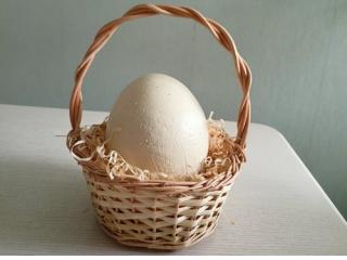 Купити Страусине яйце в кошику на подарунок / Страусиное яйцо в корзинке на подарок