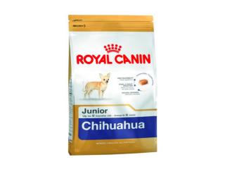 Купить Сухой корм Roayal Canin Chihuahua Junior для щенков породы чихуахуа до 8 месяцев 1.5 кг