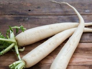 Купить Редька, сорт "Дайкон" ОПТ