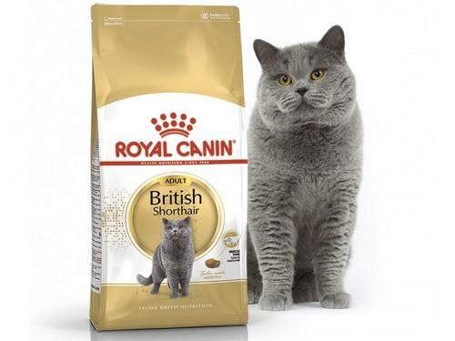 Купить ROYAL CANIN British Shorthair - Полнорационный сухой корм для взрослых кошек породы британская короткошерстная в возрасте старше 12 месяцев 2кг