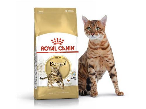 Купить Royal Canin Bengal Adult - Сухой корм с птицей для кошек бенгальской породы