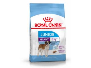 Купить Royal Canin Giant Junior - Полнорационный сухой корм для щенков собак очень крупных размеров (вес взрослой собаки более 45 кг) 15,0 кг