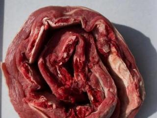 Купить Говядина домашняя, ребро ОПТ