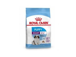 Купить Royal Canin Giant Puppy - Сухой корм для щенков крупных пород 15,0 кг