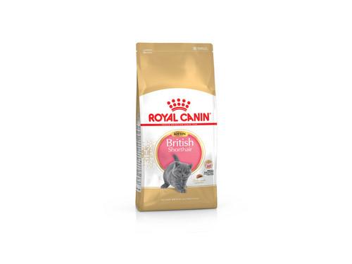 Купить Royal Canin Kitten British Shorthair - Сухой корм с птицей для британских короткошерстных котят