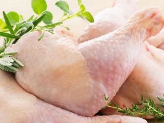Купить Окорочок куриный ОПТ