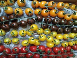 Купити Помідори "Черрі" асорти / Помидоры "Черри" ассорти