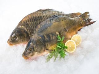 Купить Карп охлажденный