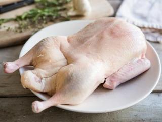 Купить Утка фермерская ОПТ