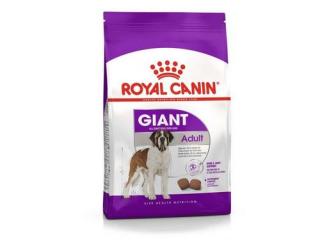 Купить Royal Canin Giant Adult - Сухой корм для взрослых собак больших размеров 4,0 кг