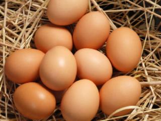 Купить Яйца от молоденьких курочек