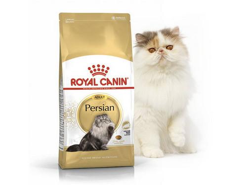 Купить Royal Canin Persian Adult - Сухой корм с птицей для взрослых персидских кошек 4кг