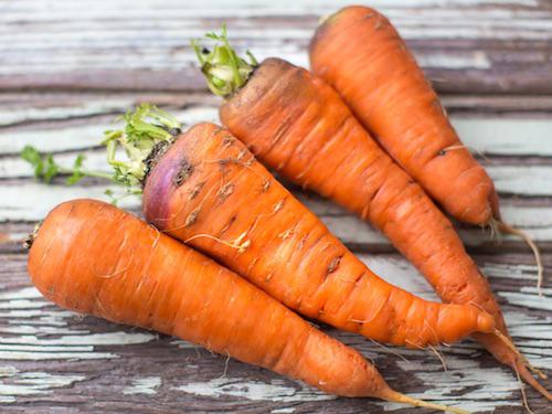 Купить Морковь из фермерского хозяйства Ивановка