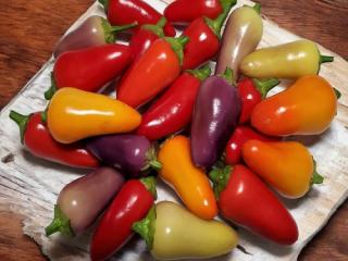 Купити Перець солодкий сорт Капі, асорти / Перец сладкий сорт Капи, ассорти