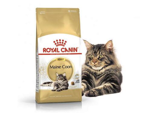 Купить Royal Canin Maine Coon Adult - Сухой корм с птицей для взрослых кошек породы Мейн кун 0,4 кг