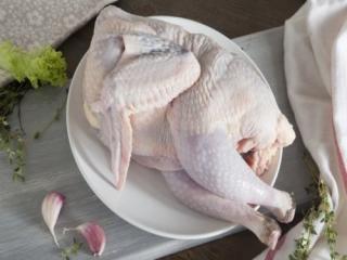 Купить Цесарка замороженная в вакууме