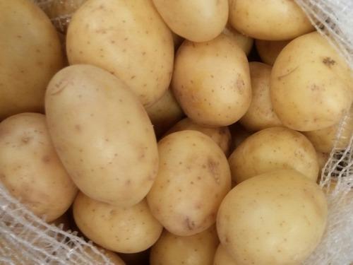 Купить Картофель белый фермерский