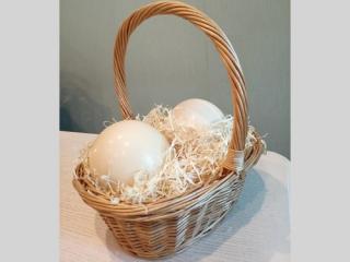 Купити Яйця страуса в кошику на подарунок / Яйца страуса в корзинке на подарок