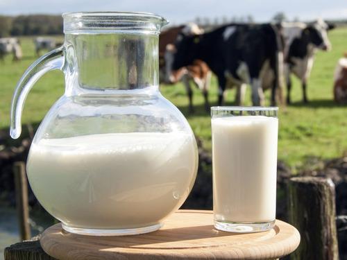 Купить Органическое молоко коровье питьевое пастеризованное, жирность 2,5 %