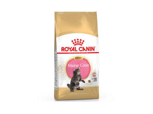 Купить Royal Canin Maine Coon Kitten - Сухой корм с курицей для котят породы мейн кун 2.0кг
