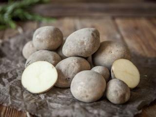 Купить Картофель, из погреба, домашний, разнокалиберный
