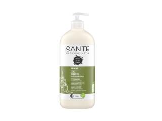 Купити SANTE БИО-Шампунь для волос восстанавливающий Гинкго Билоба и Олива (для всей семьи), 950мл