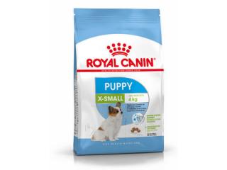Купить Royal Canin X-Small Puppy - Сухой корм для миниатюрных щенков возрастом от 2 до 12 месяцев 0,5 кг