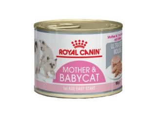 Купить Royal Canin Babycat Instinctive