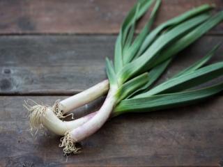 Купить Зеленый чеснок (перья)